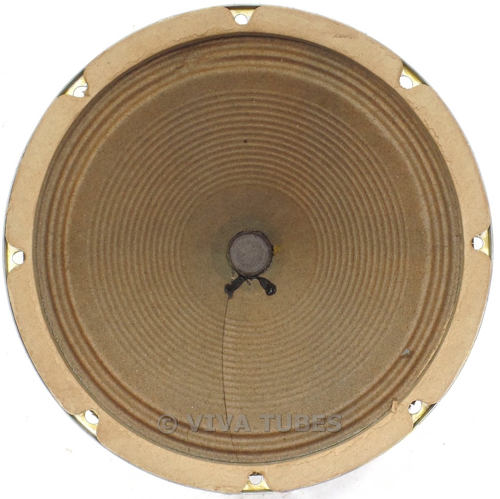 10 alnico speaker